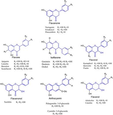 Metabolic Engineering of Microorganisms for the Production of Flavonoids